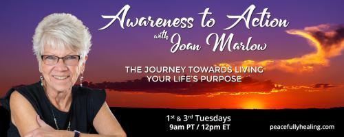 Awareness to Action with Joan Marlow:  The Journey Towards Living Your Life's Purpose: The Power of Meditation with Animals in Transforming Your Life