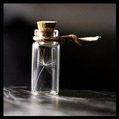 B.E.S.T. Living Show with Dr. Rachelle: Breathe ~ Eat ~ Sleep ~ Thrive in Every Aspect of Your Life: Intentional Thriving with Dr. Pat Baccili