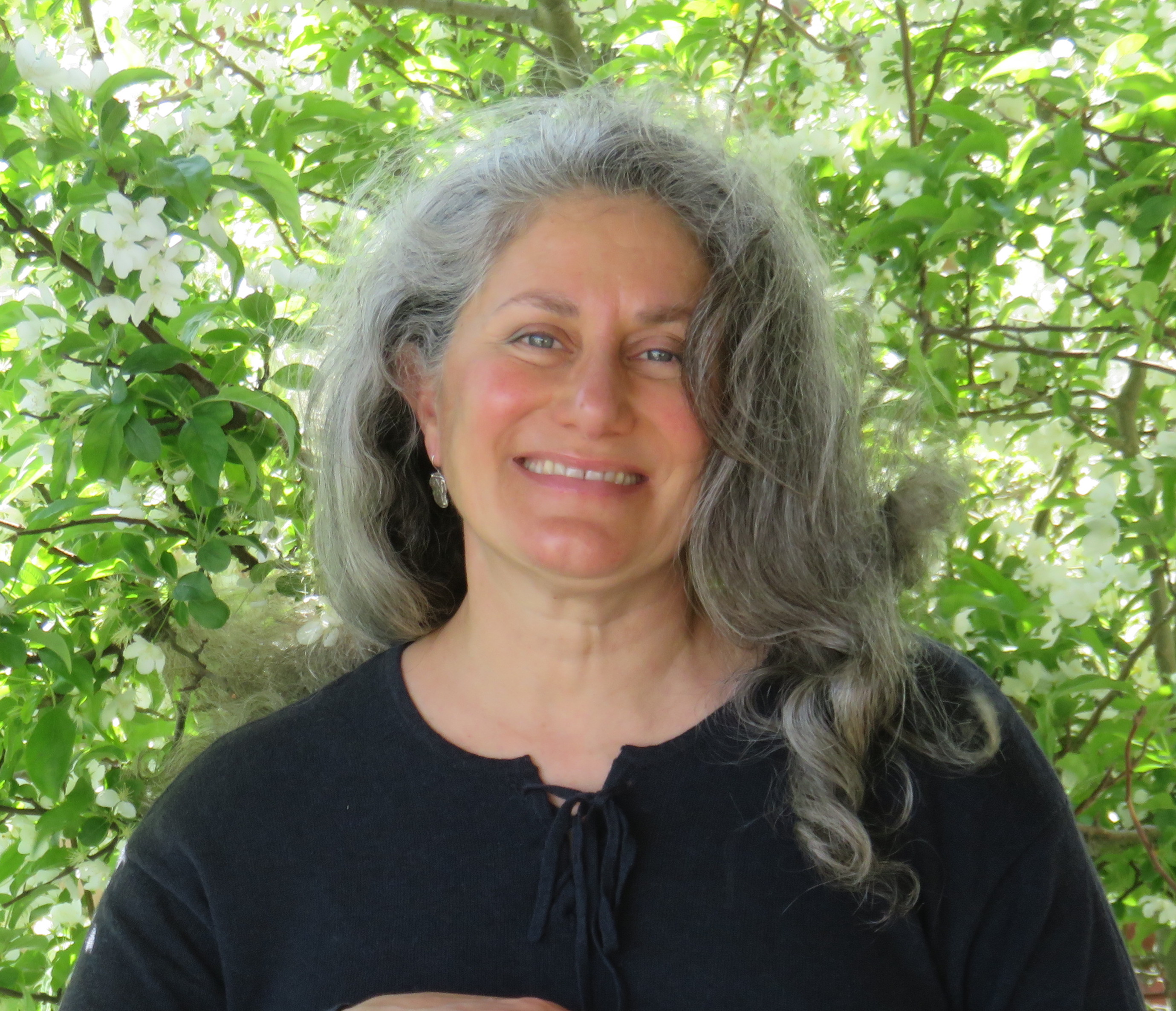 Dr. Beebe  Bahrami