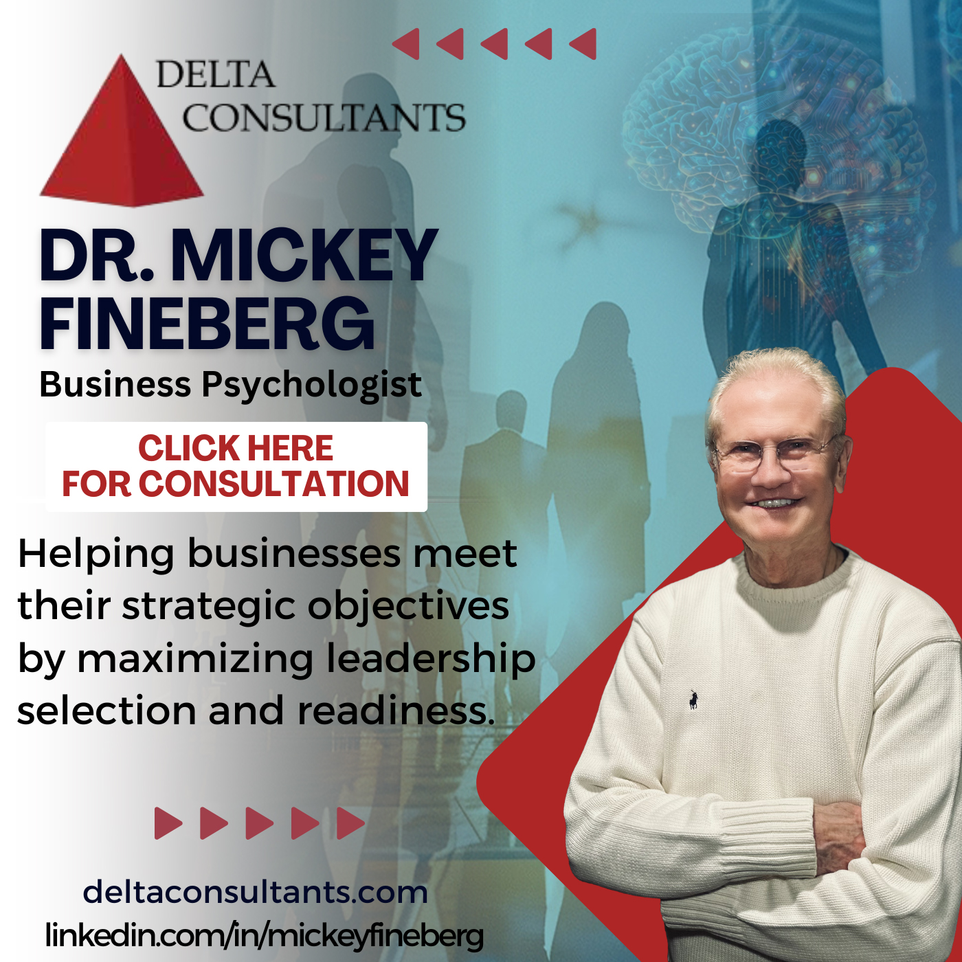 Dr. Mickey Fineberg - Business Psychologist - Delta Consultants