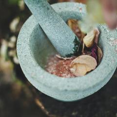 Empowerment Radio with Dr. Friedemann Schaub: How Your Intuition Can Help You Heal with Wendie Colter