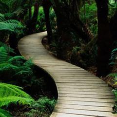 From Here to There Radio with Dyan Garris: Demystifying the Journey: Mastering Your Path