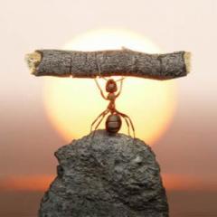 GET INTOIT - WINNING at the Game of LIFE with Host Lynn M. Brown: Start Winning Now! Lynn&rsquo;s Personal Top 5 Gold Nuggets for Winning at the Game of Life