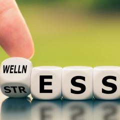 Get Rooted Radio with Erica Gifford Mills: Living it Up ~ Loving it Up ~ Letting it Go!: Wellness & Resiliency: Stress Management