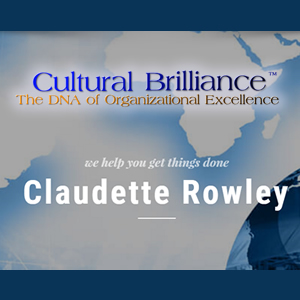 Introducing Cultural Brilliance™ The DNA of Organizational Excellence