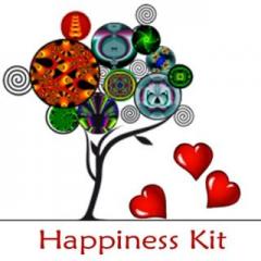 Majestic Insights Radio with Karey Keith - Success for Life's Transitions: Grab Happiness with Kaarin Alisa