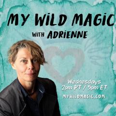 My Wild Magic with Adrienne: Higher Guidance for you with Voyager Tarot & Oracle Card Reading