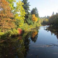 Soul Wisdom Radio with Wendy Rose Williams - Living YOUR Joyful Life!: Dialing Up Your Intuition via Astrology with Valerie Shinn