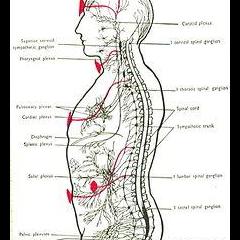 Spiritual Diagnostics Radio - Psychic Answers & Spiritual Solutions with Carol Dorian & Co-host Justice Welling: Anatomy of the Spirit