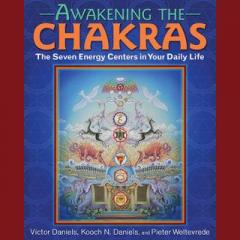 The Dr. Pat Show: Talk Radio to Thrive By!: AWAKENING THE CHAKRAS: The Seven Energy Centers in Your Daily Life with Kooch Daniels