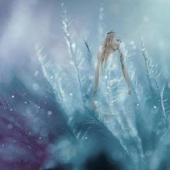 sue storm the angel lady - angels celebrate summer