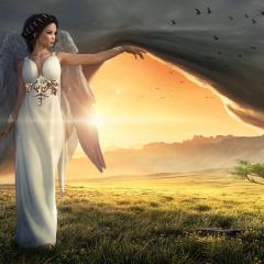 The Dr Pat Show, Dr Pat Show, Dr Pat, Pat Baccili, Transformation Talk Radio, transformation, Sue Storm