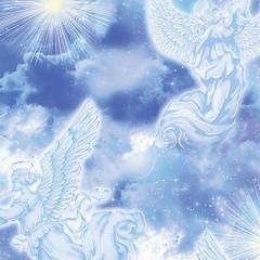 the angel lady sue storm