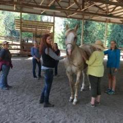 animal communication with darcy pariso