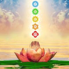 The Dr. Pat Show: Talk Radio to Thrive By!: Expected Progress You Can Achieve from Spiritual Diagnosis with Carol Dorian