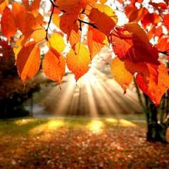 The Dr. Pat Show: Talk Radio to Thrive By!: Good News Segment: Have More Security Online, Be Informed about Health Risks, & This Seasons' Expert Travel Tips