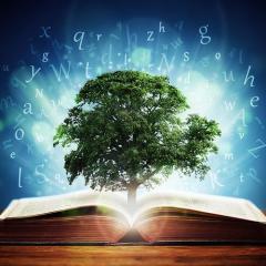 The Ecosystem Approach&trade; Show with Jason & Patricia Rohn: A revolutionary way to infinite potential!: Learning - innovative methods to learn quickly and easily! 
