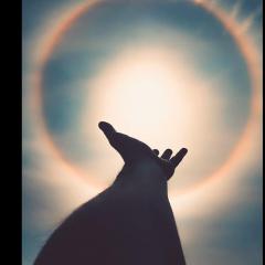 The Empower Me Show with Pam Bright: A Spiritual Toolbox for Your Life: Divine Channel and Light Bringer Pam Bright  with Messages for Humanity