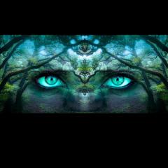 The Empower Me Show with Pam Bright: A Spiritual Toolbox for Your Life: From Vision To Purpose - David's Spirit Journey