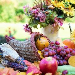 The Empower Me Show with Pam Bright: A Spiritual Toolbox for Your Life: Healing Energy Transmissions and Channeling with Pam Bright