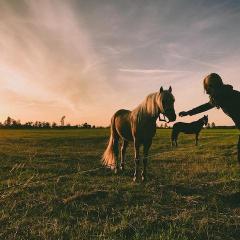 The Empower Me Show with Pam Bright: A Spiritual Toolbox for Your Life: Transformation and the power of horses  with my special guest- Katherine Finley