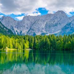 The Goddess Emergence&trade; with Dr. Brie Gibbs, Ph.D. ~ Syntheses in Science, Spirituality and Humanity : A Goddess View on a New Year evokes imagery of renewal, empowerment, and timeless wisdom