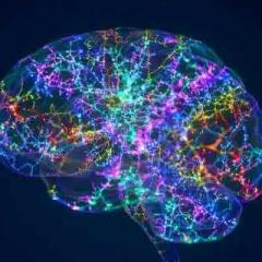 The Goddess Emergence&trade; with Dr. Brie Gibbs, Ph.D. ~ Syntheses in Science, Spirituality and Humanity : Healing from the Spiritual Blueprint.