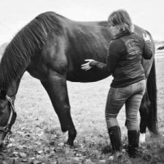 The Kelly Ballard Show - Insight & Inspiration from the Great Beyond: Do You Hear What I Hear?  Linday Bodkin, Ladybird Light - Reiki Master Teacher and Animal Communicator