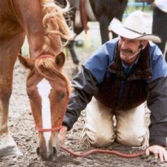 The Mary Jane Mack Show: A Health & Wellness Journey with Nationally Recognized Universal Horsemanship&trade; Creator Dennis Reis