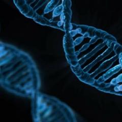 The Truth is Funny Radio.....shift happens! with Host Colette Marie Stefan: The Traumas of your Ancestors Are Sticking to your DNA