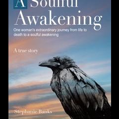 We Carry the Light with Host Dr. Susan Allison: A Soulful Awakening with Stephanie Banks