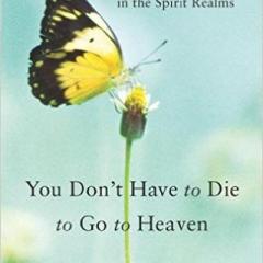 We Carry the Light with Host Dr. Susan Allison: You Don't Have to Die to Go to Heaven with Dr. Susan Allison